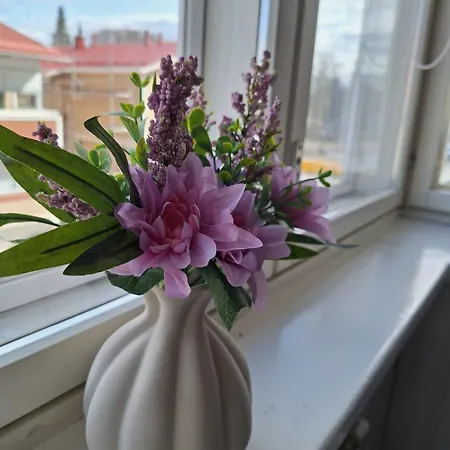 Apartamento Varvinkatu *